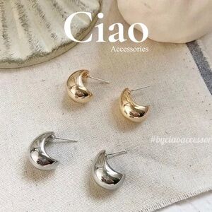 Golden/ Silver Titan Rust Free Earrings